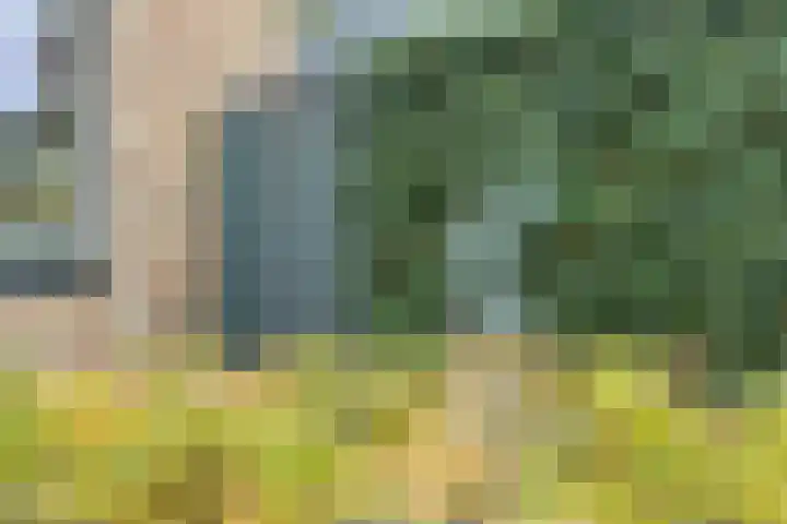 Rosep 12 Veldhoven thumbnail 44