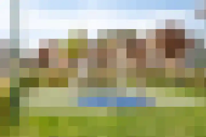 Rosep 12 Veldhoven thumbnail 46