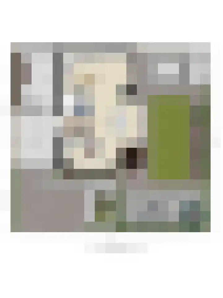 Rosep 12 Veldhoven thumbnail 51