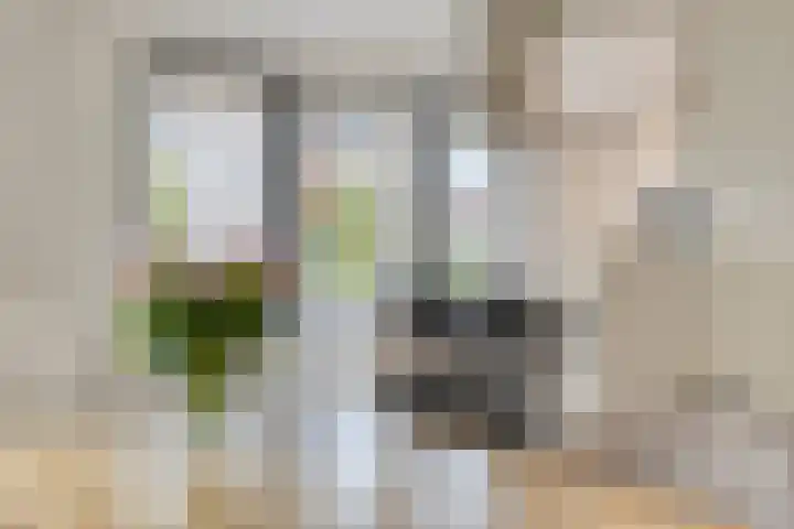 Rosep 12 Veldhoven thumbnail 9