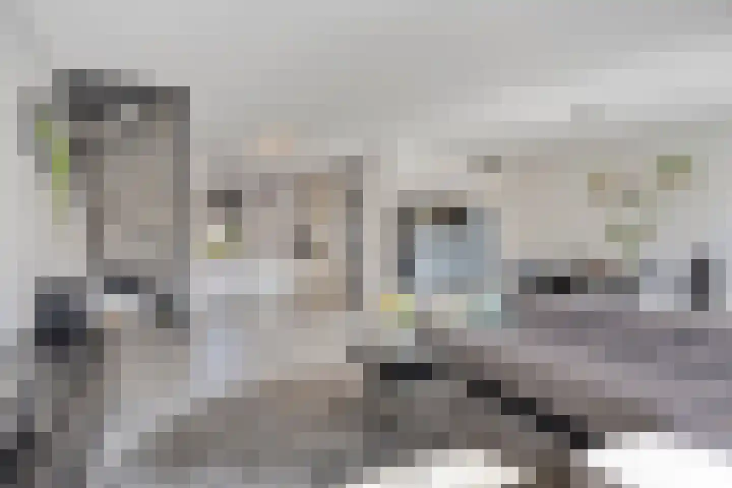Rosep 22 Veldhoven thumbnail 5