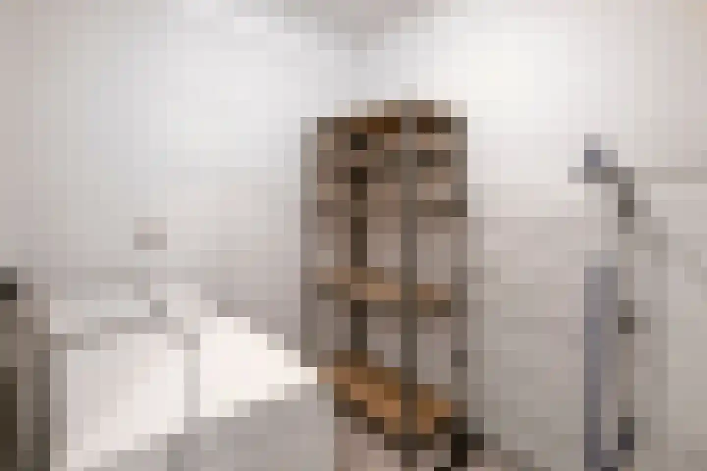 Roserije 15 A Maastricht thumbnail 19