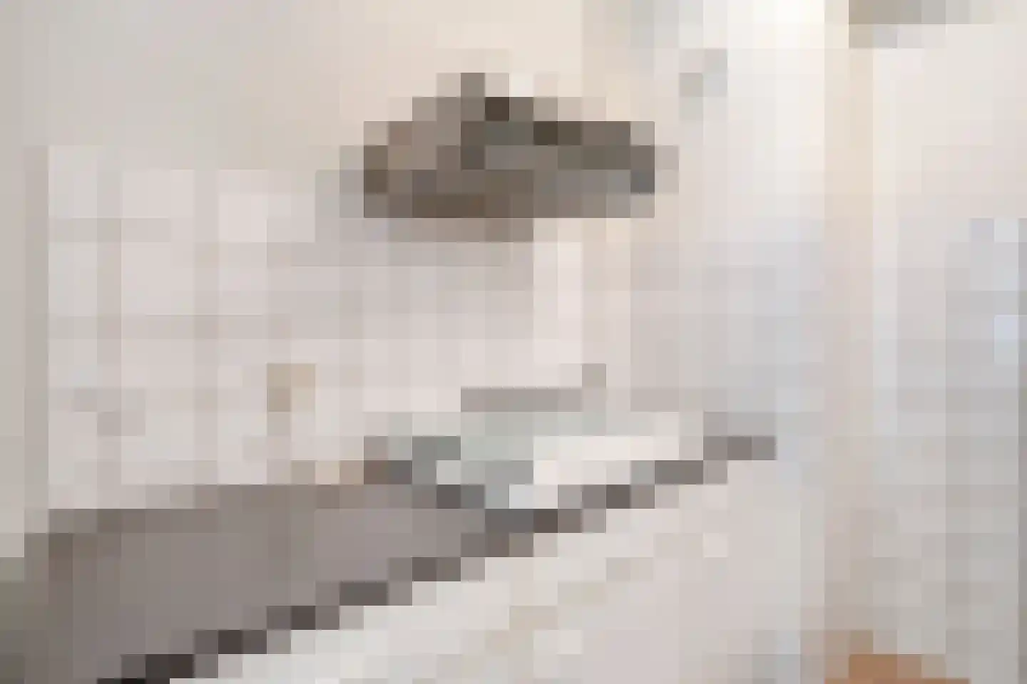 Roserije 15 A Maastricht thumbnail 9