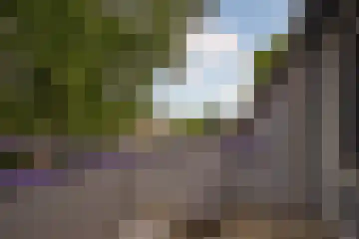 Roserije 2 C Maastricht thumbnail 11