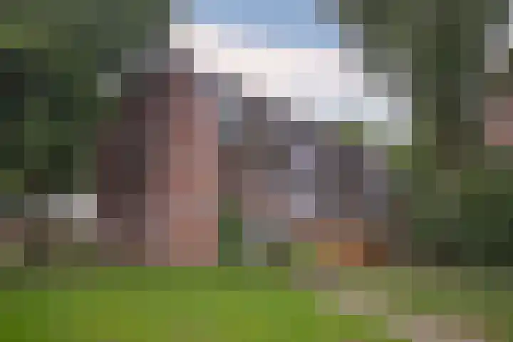 Roserije 2 C Maastricht thumbnail 13