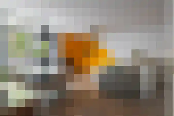 Roserije 2 C Maastricht thumbnail 15