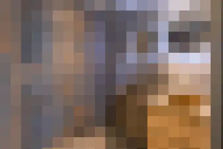 Roserije 2 C Maastricht thumbnail 5