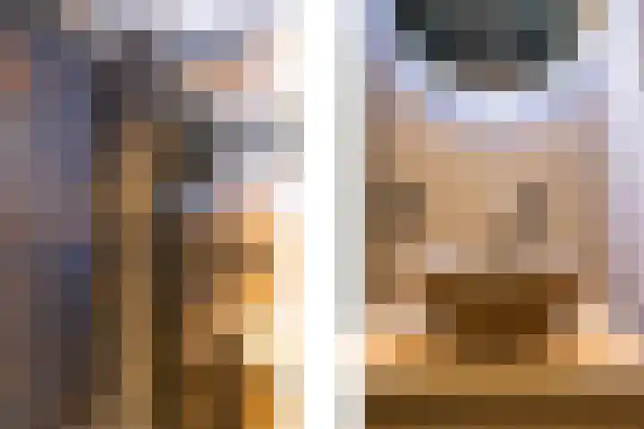 Roserije 2 C Maastricht thumbnail 6