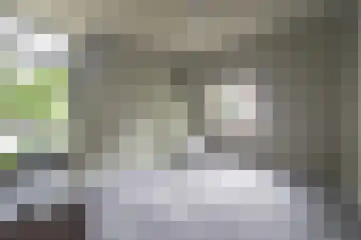 Roserije 2 C Maastricht thumbnail 7