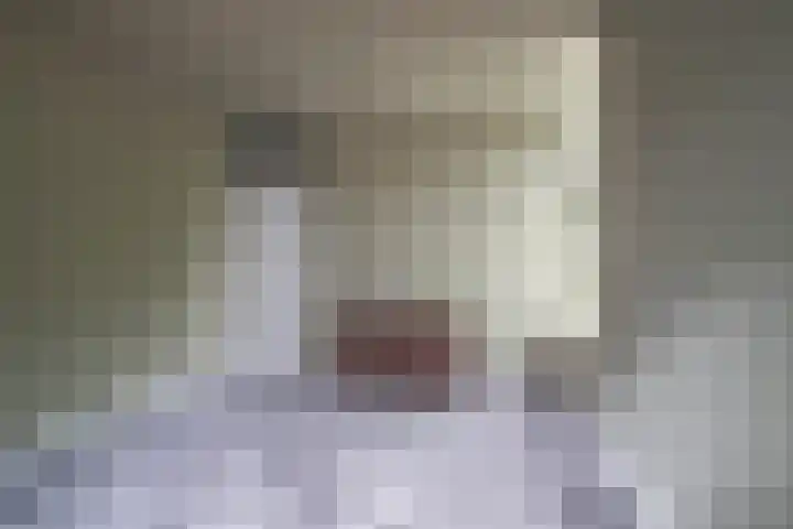 Roserije 2 C Maastricht thumbnail 8