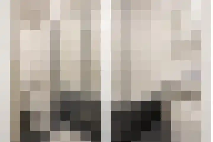 Roserije 207 E Maastricht thumbnail 13