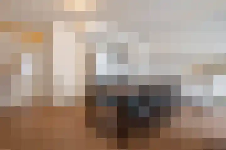 Roserije 207 E Maastricht thumbnail 8
