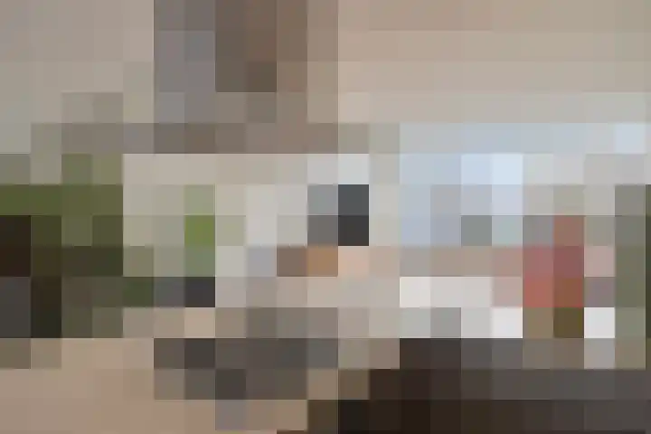 Roserije 225 A Maastricht thumbnail 19