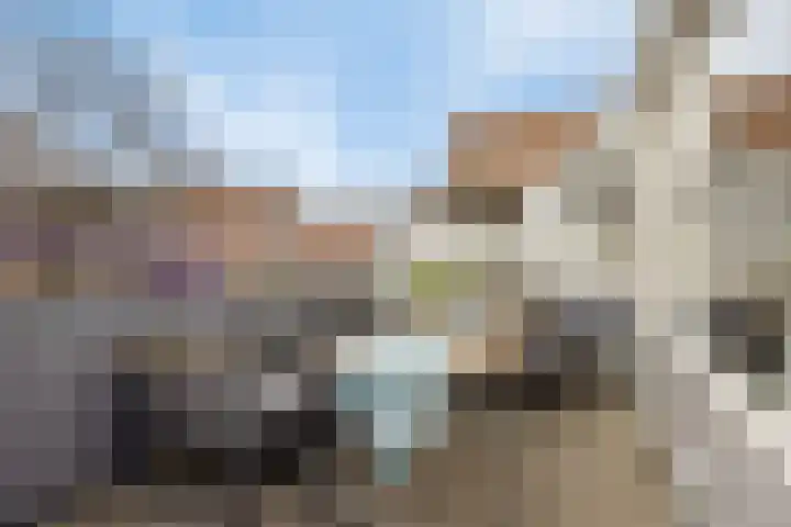 Roserije 225 A Maastricht thumbnail 20