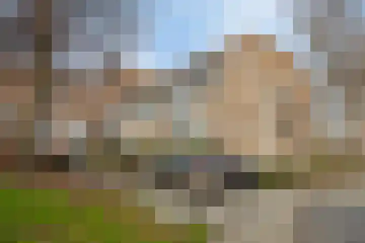 Roserije 225 A Maastricht thumbnail 32
