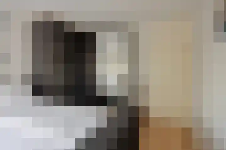 Roserije 225 A Maastricht thumbnail 7