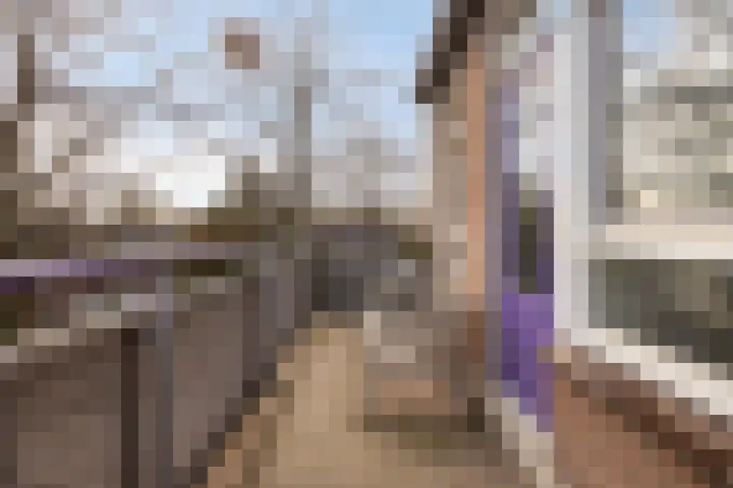 Roserije 245 A Maastricht thumbnail 33