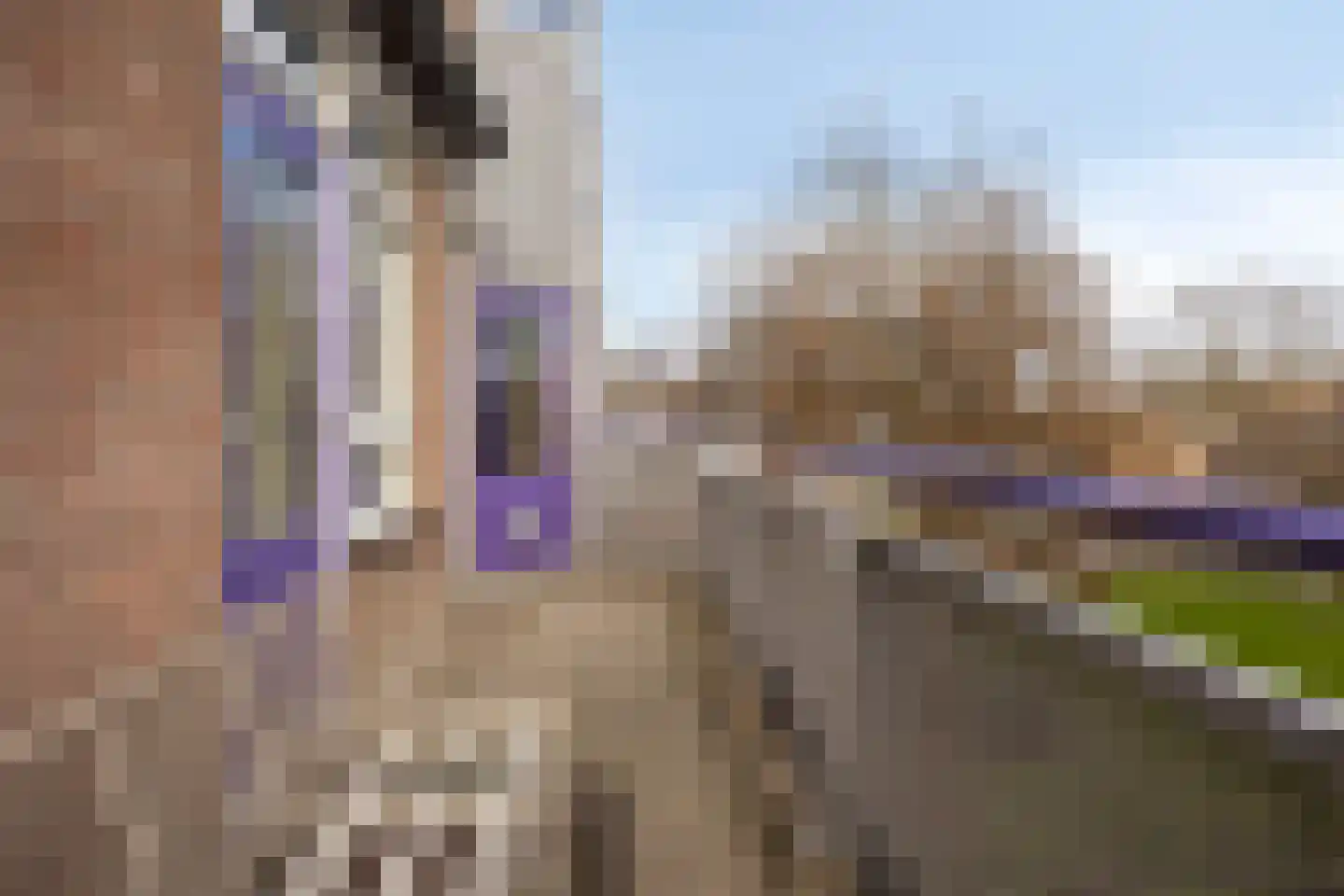 Roserije 245 A Maastricht thumbnail 34