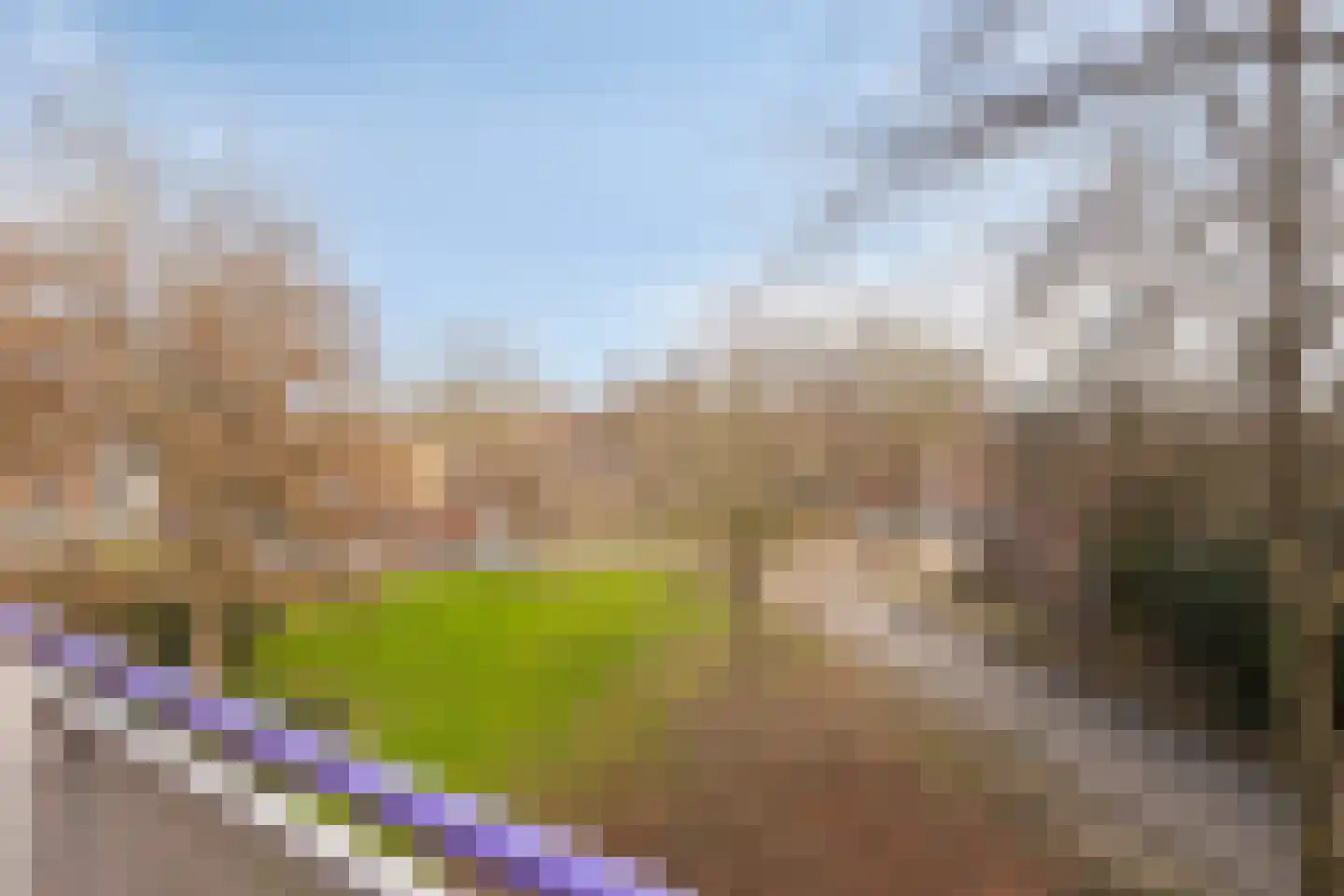 Roserije 245 A Maastricht thumbnail 35