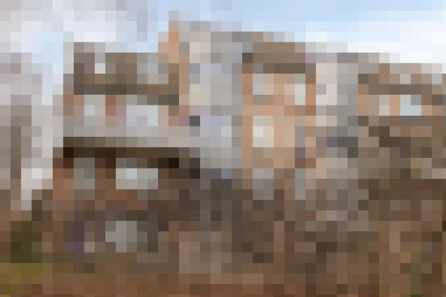 Roserije 245 A Maastricht thumbnail 39