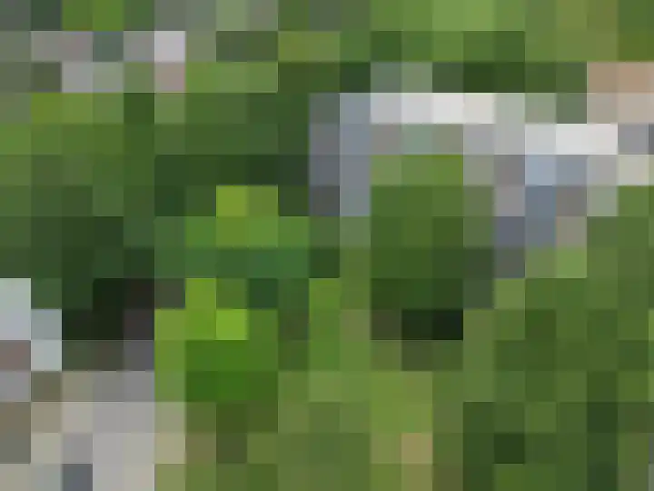 Roserije 245 D in Maastricht