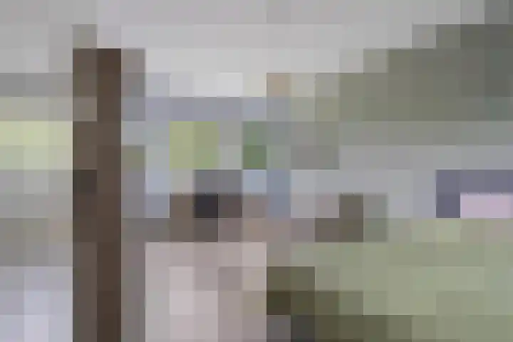 Roserije 245 D Maastricht thumbnail 11