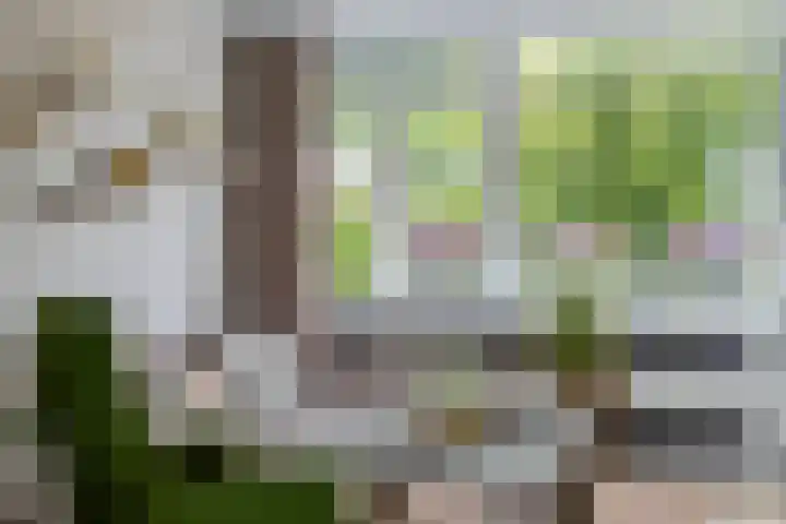 Roserije 245 D Maastricht thumbnail 18
