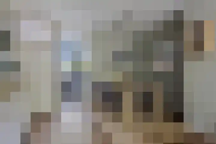 Roserije 245 D Maastricht thumbnail 19