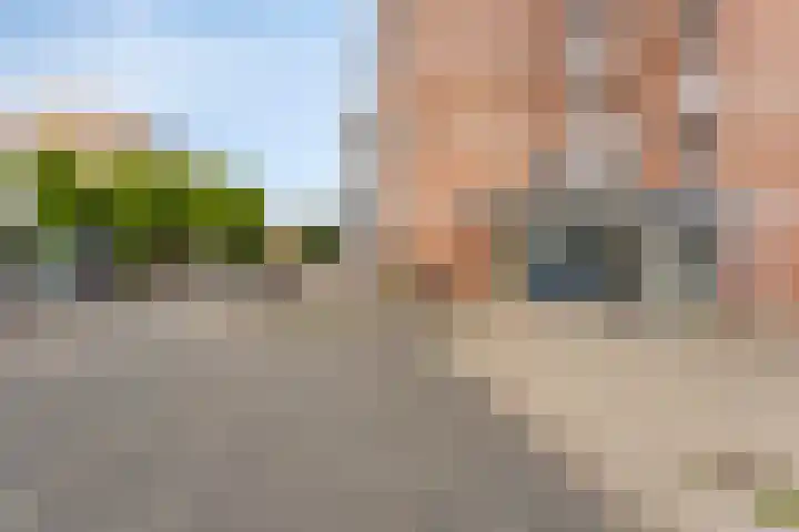 Roserije 245 D Maastricht thumbnail 37