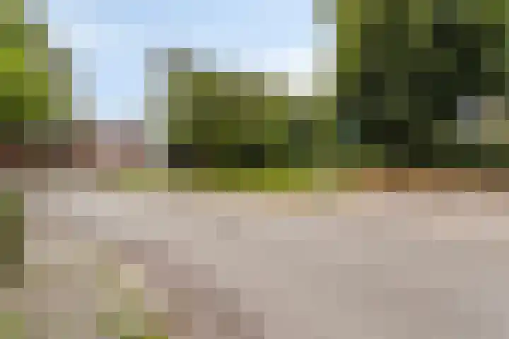 Roserije 245 D Maastricht thumbnail 38