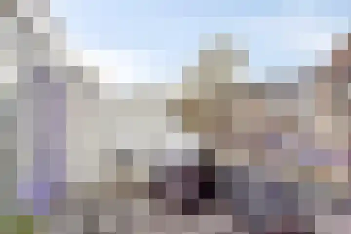 Roserije 3 C Maastricht thumbnail 14