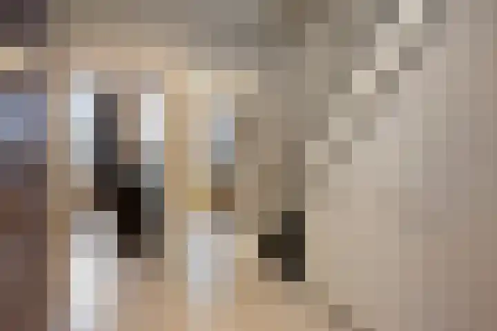 Roserije 3 C Maastricht thumbnail 15