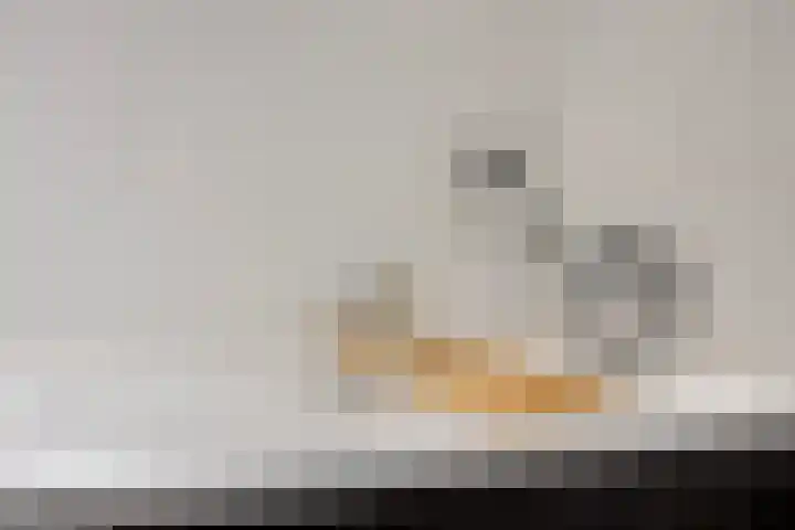 Roserije 3 C Maastricht thumbnail 23