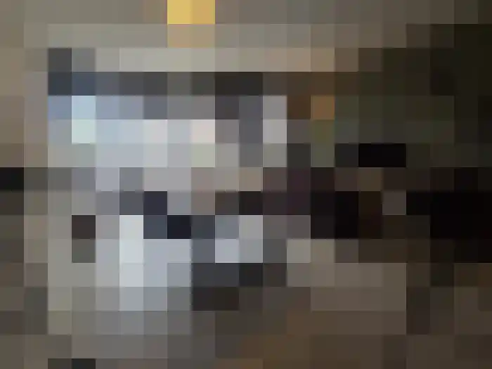 Roserije 48 Maastricht thumbnail 8