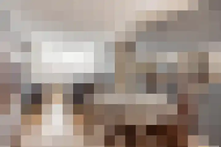 Roserije 5 C Maastricht thumbnail 11