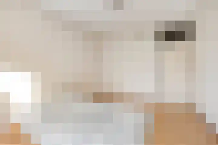 Roserije 5 C Maastricht thumbnail 16