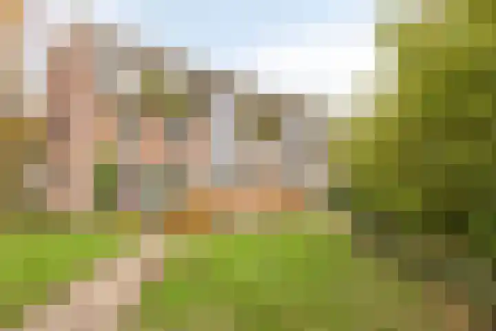 Roserije 5 C Maastricht thumbnail 4