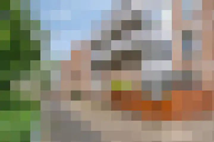 Roserije 71 C Maastricht thumbnail 30
