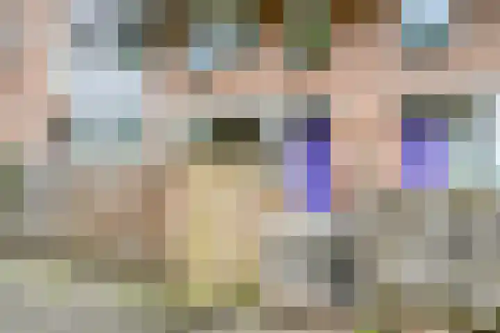 Roserije 71 C Maastricht thumbnail 5