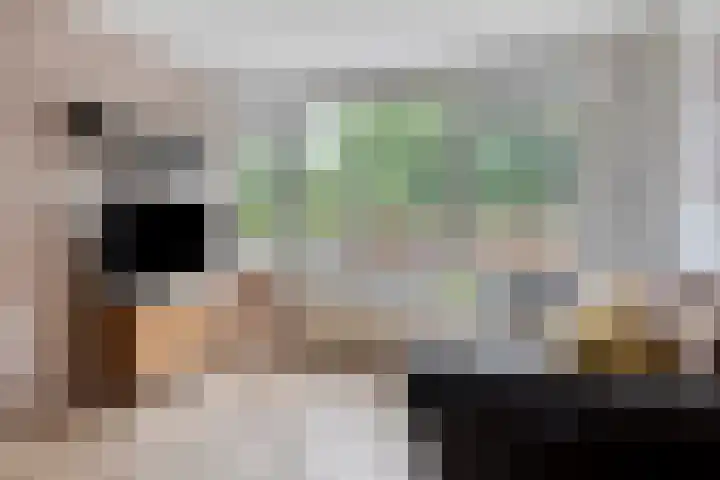 Roserije 71 C Maastricht thumbnail 7