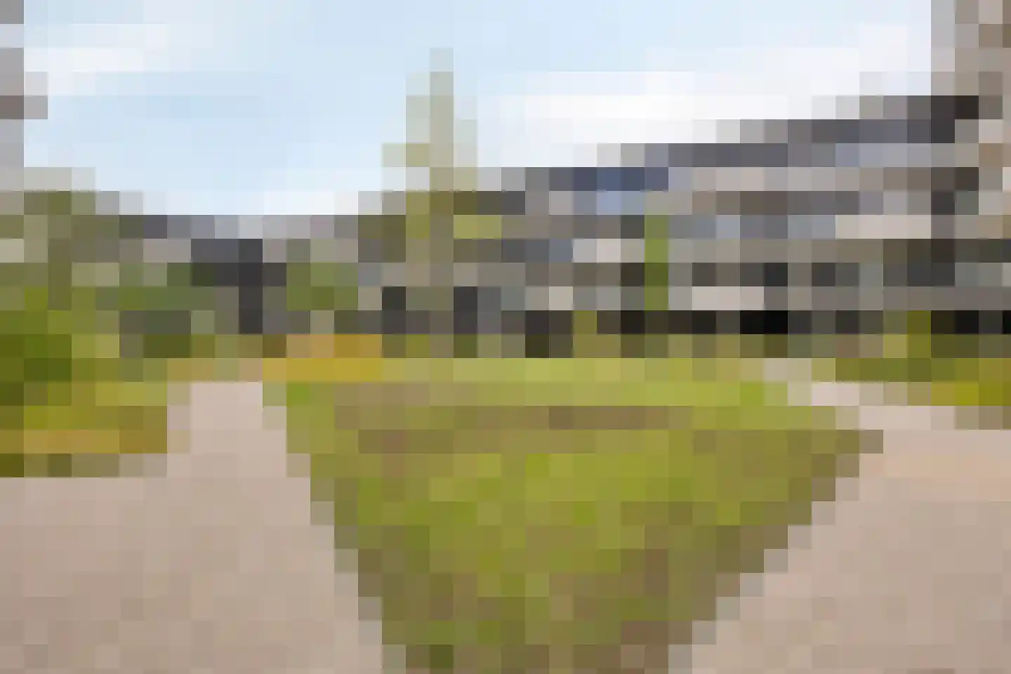 Rosestraat 1145 Rotterdam thumbnail 30