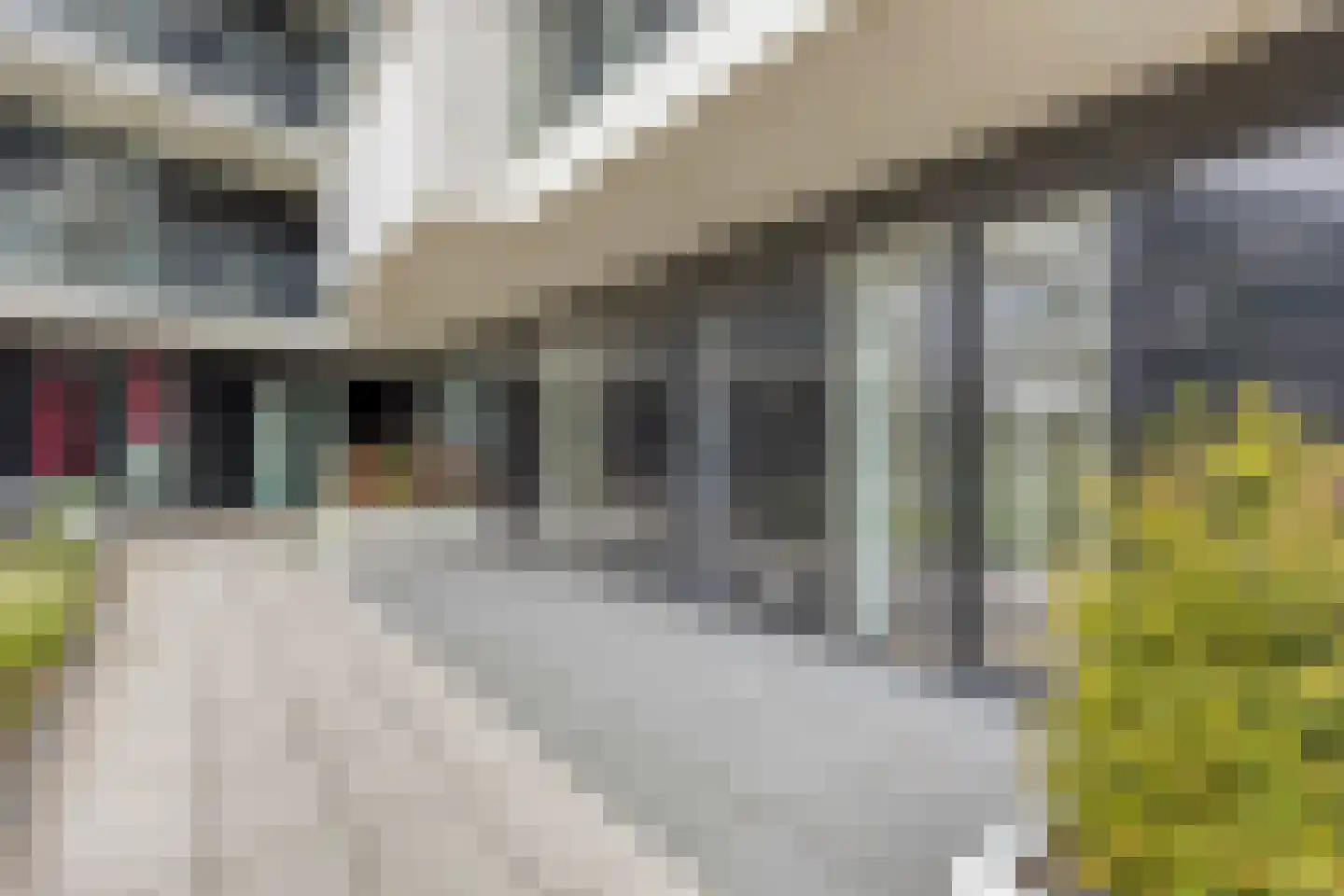 Rosestraat 1145 Rotterdam thumbnail 9