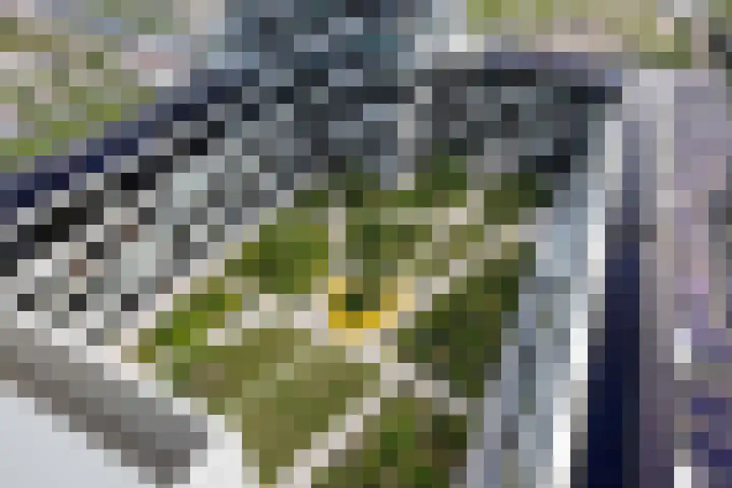 Rosestraat 1327 Rotterdam thumbnail 18