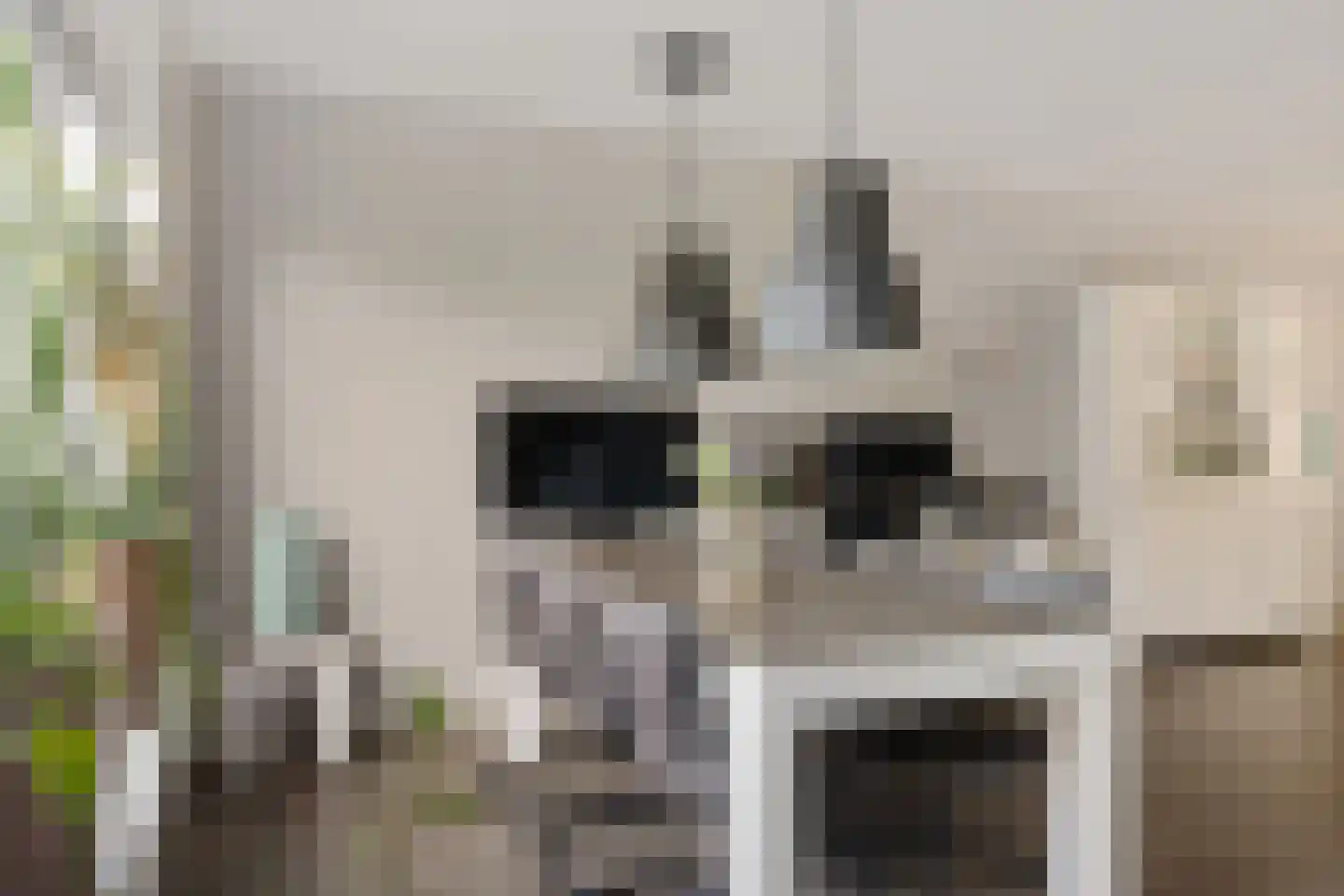 Roseweert 8 Luttenberg thumbnail 10