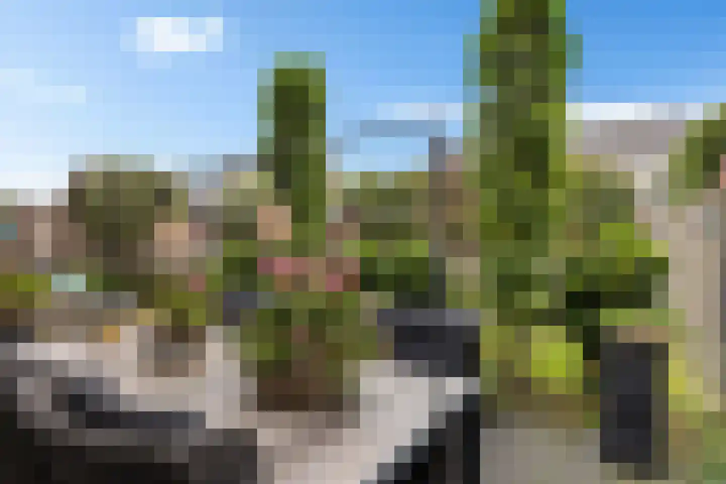 Roseweert 8 Luttenberg thumbnail 26