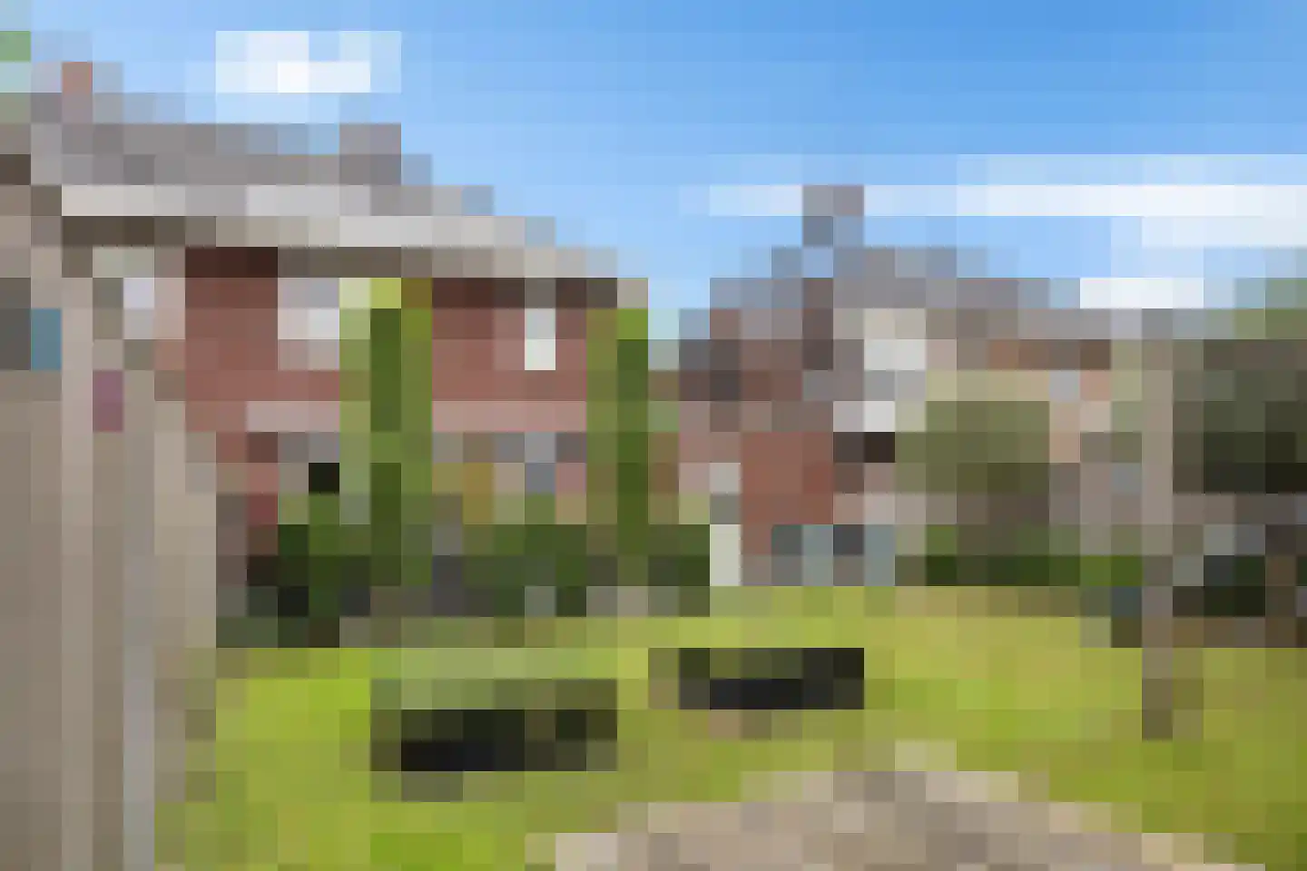 Roseweert 8 Luttenberg thumbnail 29