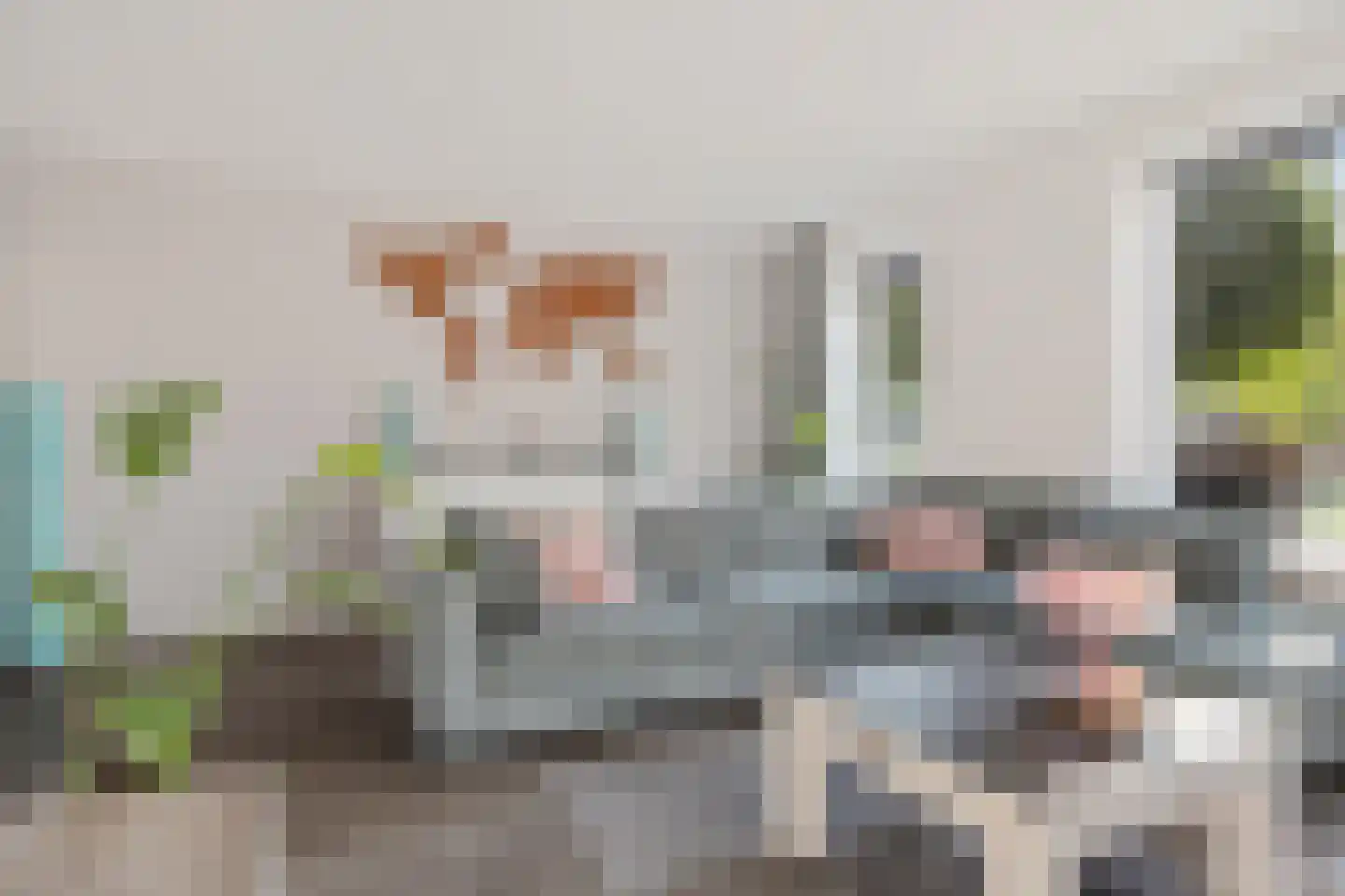 Roseweert 8 Luttenberg thumbnail 7