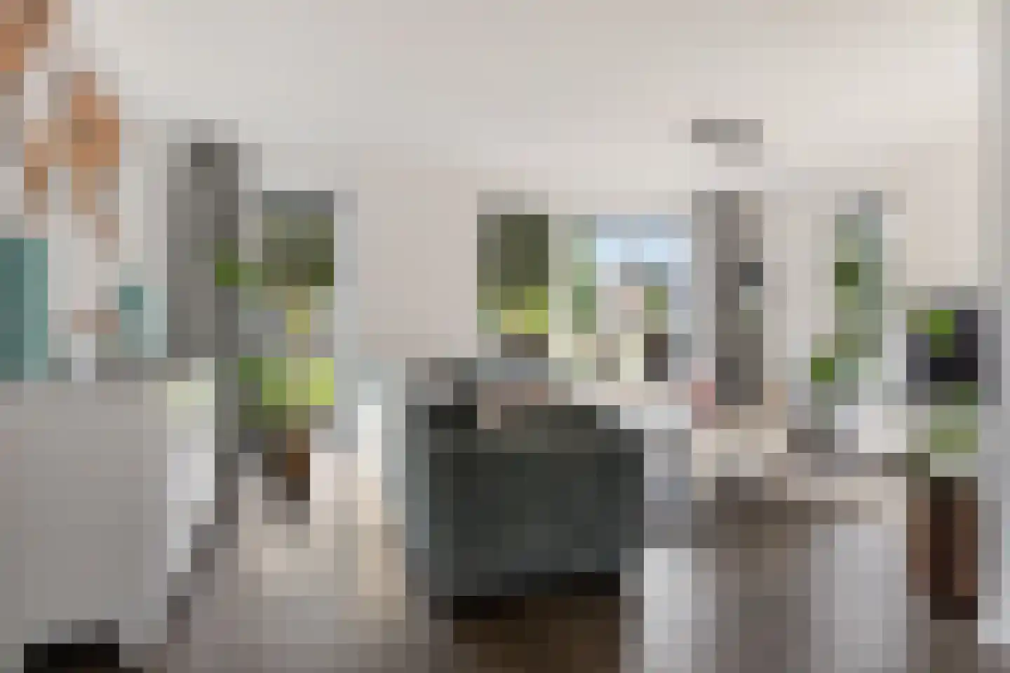 Roseweert 8 Luttenberg thumbnail 8