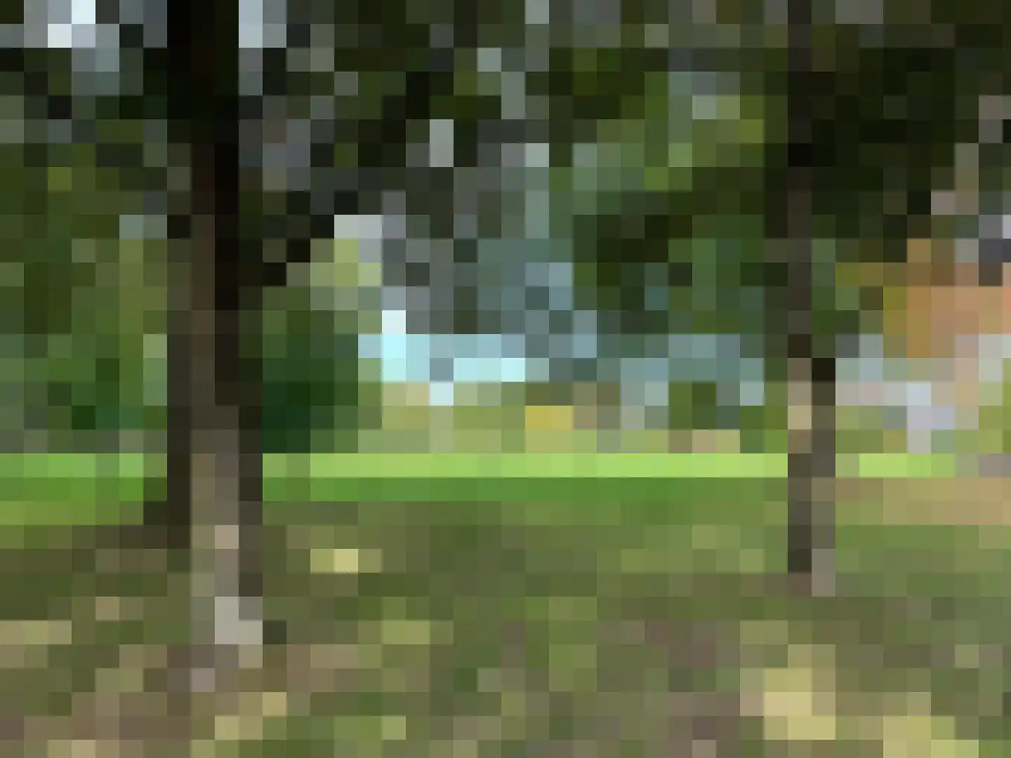Rosheuvel 1 Valkenswaard thumbnail 23