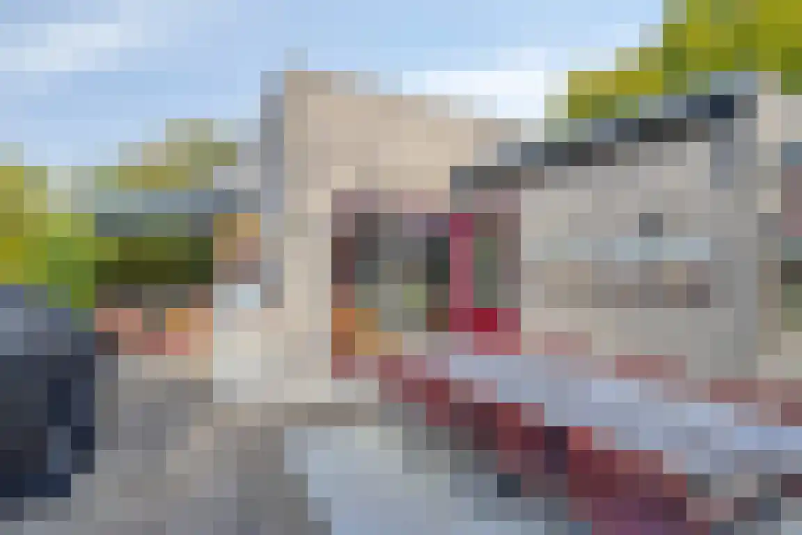 Rosheuvel 1 Valkenswaard thumbnail 33
